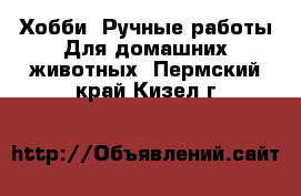 Хобби. Ручные работы Для домашних животных. Пермский край,Кизел г.